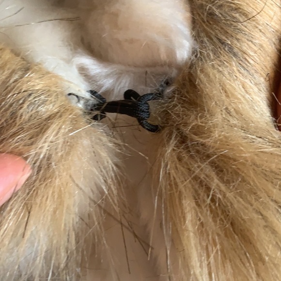 Jacket - Picture 9 of 9